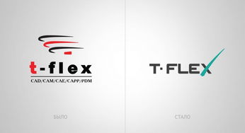 t flex 俄羅斯軟件產品開發(fā)公司